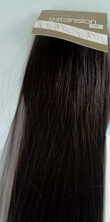 Волосы "Extension" 25*60см 100гр #10#